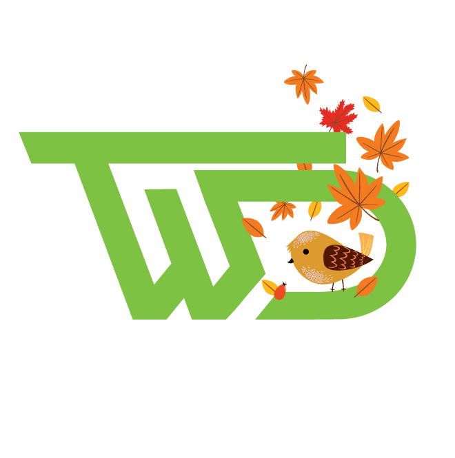 تهران وب دیزاین